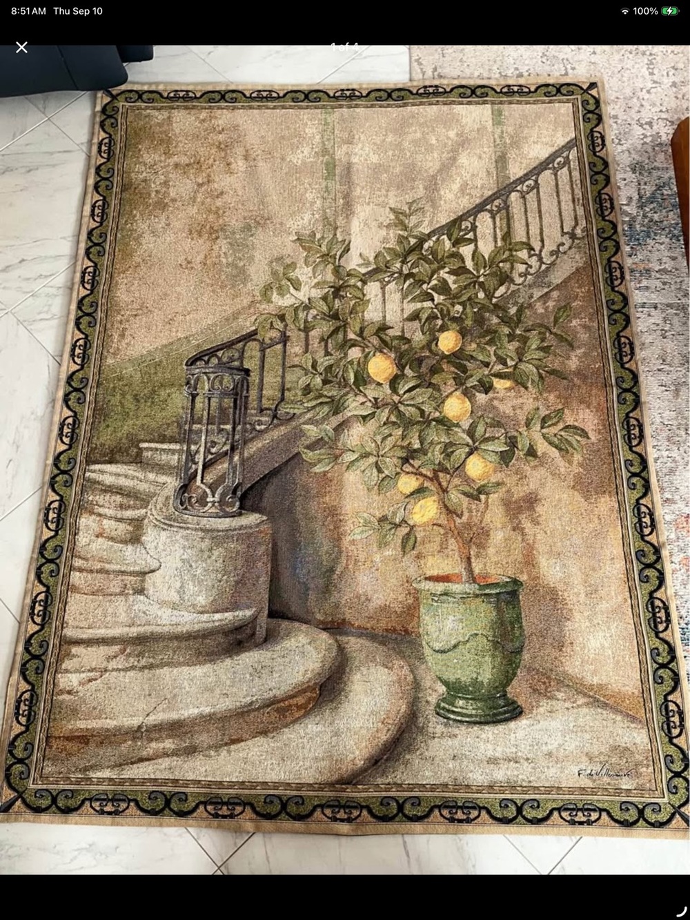 NWT Fabrice de Villeneuve Lemon Stairwell Woven Art Tapestry 56x80
